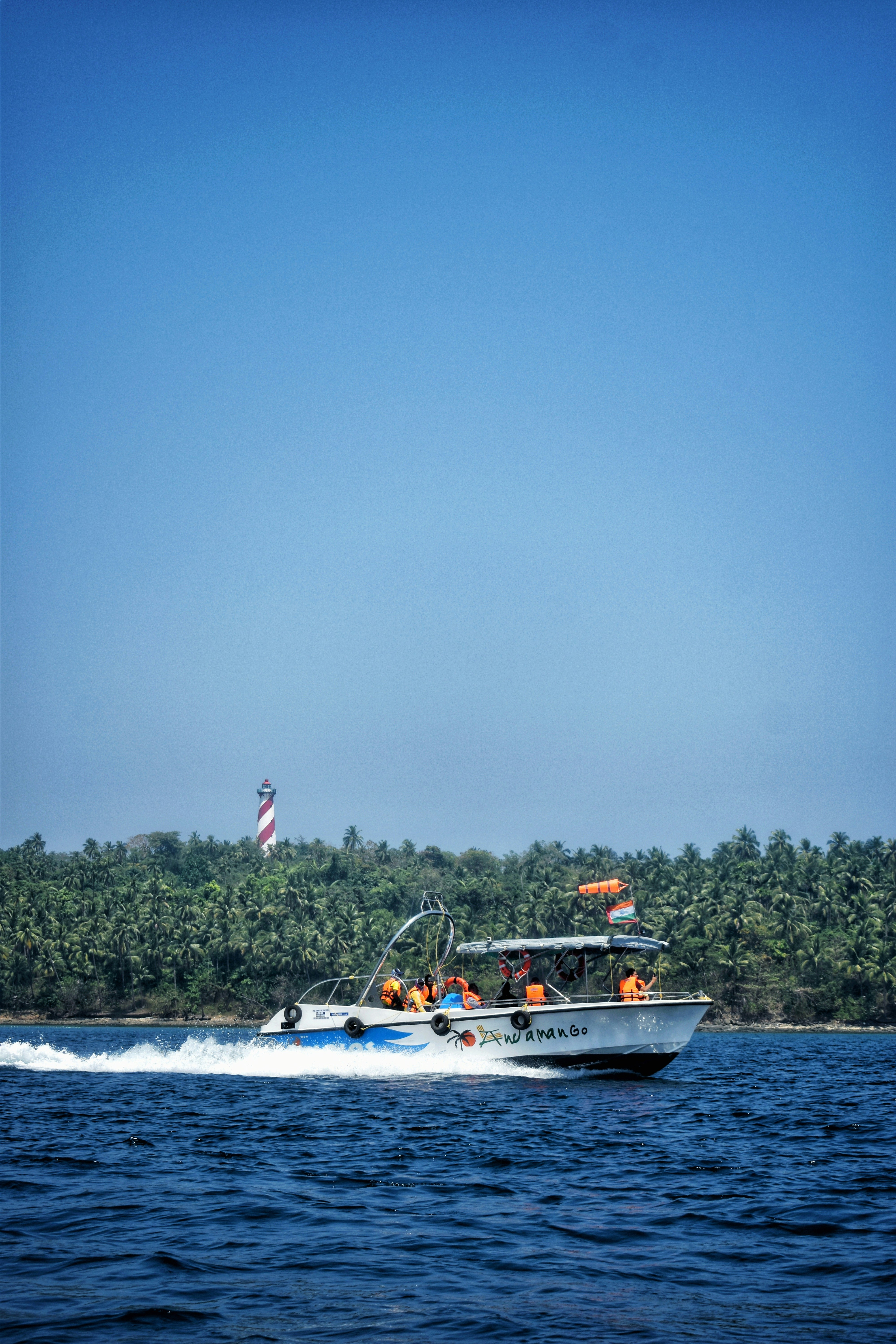Ocean Safari